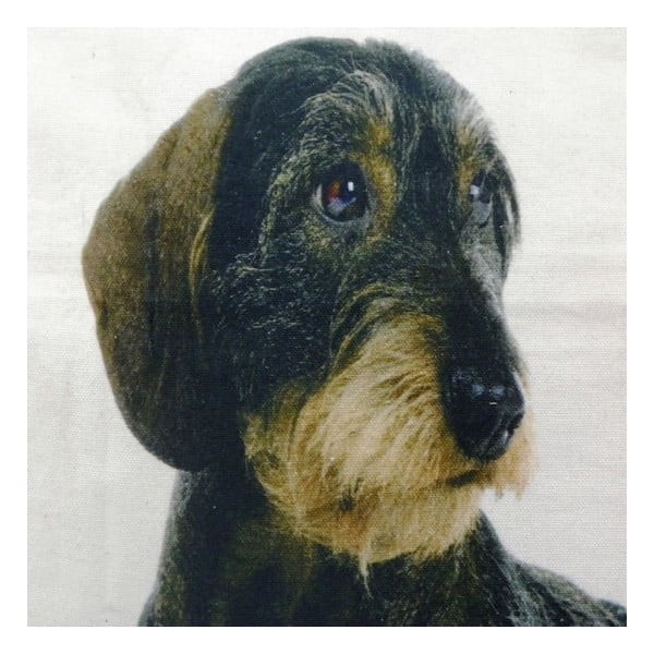 Polštář Mars&More Dog, 50 x 50  cm-image-1