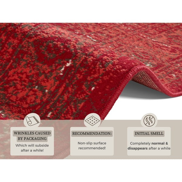 Червен килим Celebration , 80 x 150 cm Plume - Hanse Home-image-4