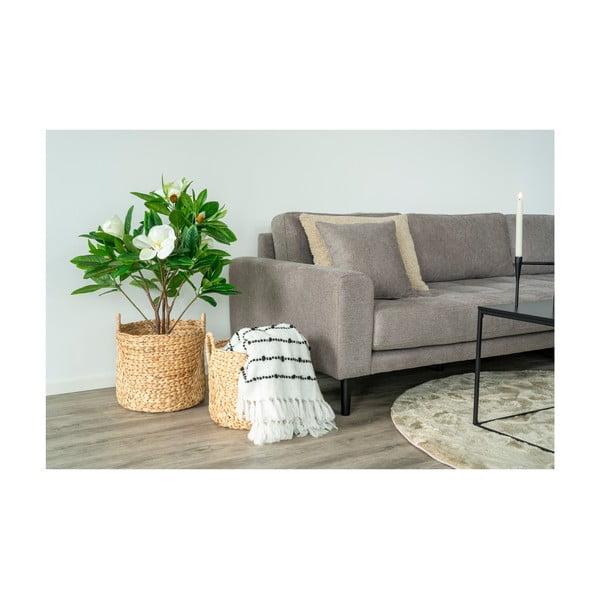 Кошници в комплект 2 бр. от воден зюмбюл ø 35x37 cm Passo – House Nordic-image-1