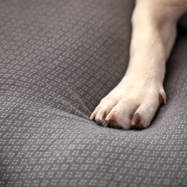 Светлосиво легло за домашни любимци 50x38 cm Graphene – Love Story-image-2