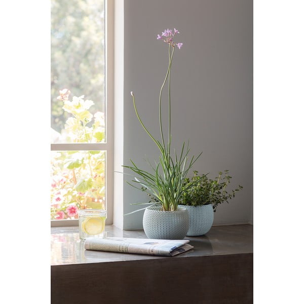 Пластмасови комплект саксии 3 бр. ø 15 cm Cozy – Keter-image-3