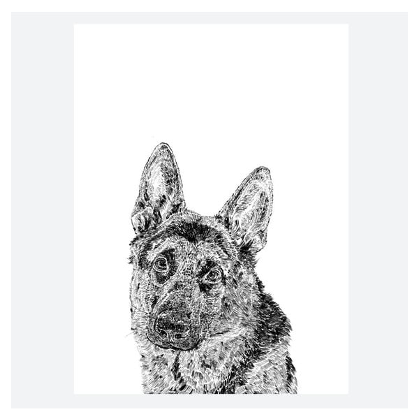 Plakát Roger the German Shepherd, 30x40 cm