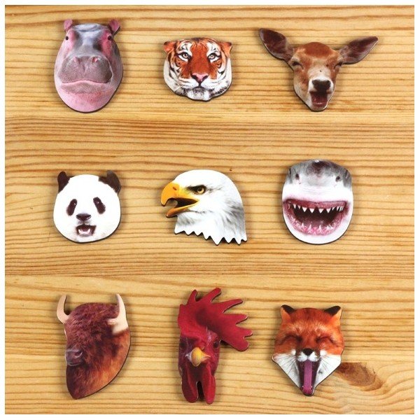 Магнити за джунглата - DOIY-image-1