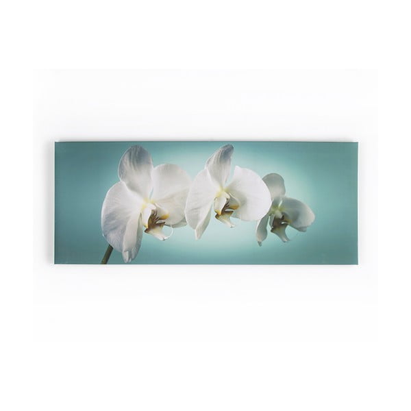 Obraz Graham & Brown Teal Orchid, 100 x 40 cm