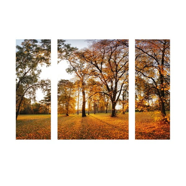 Samolepkový obraz Beautiful Autumn