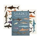 Временна татуировка 2 бр. Sharks - Rex London