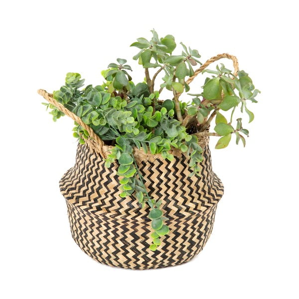 Кошница за съхранение от морска трева , ⌀ 27 cm Zic Zac - Compactor-image-2