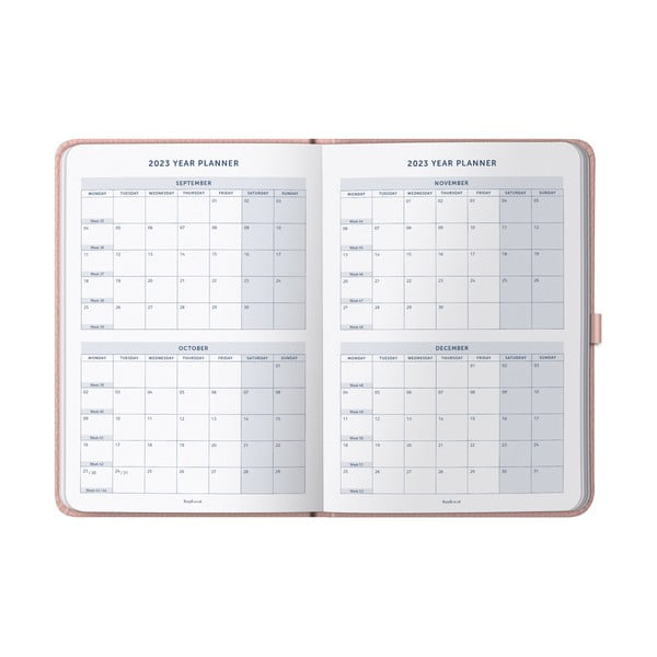 Дневник - Busy B-image-3