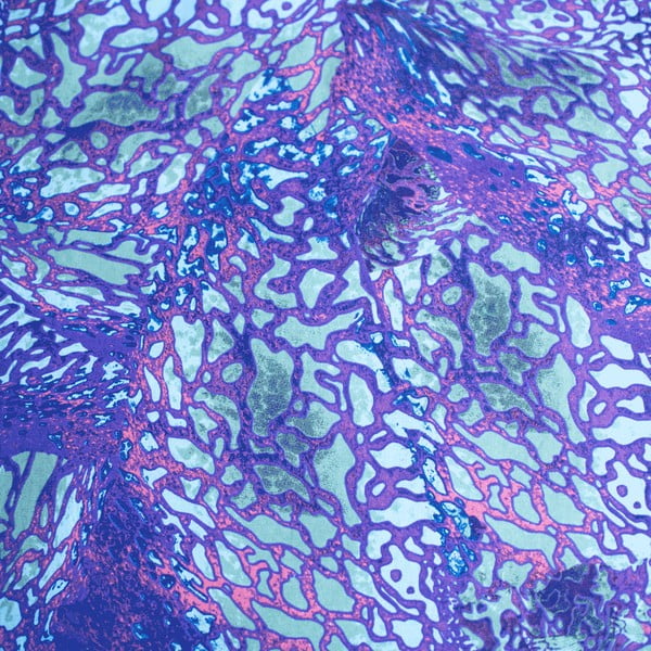 Синьо  единично  памучно детско спално бельо 140x200 cm How To Train Your Dragon – Jerry Fabrics-image-4