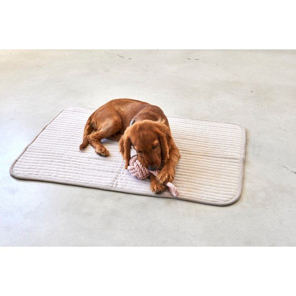 Бежово памучно одеяло за куче 90x120 cm Onda Greige L – MiaCara-image-3