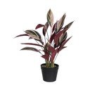 Изкуствено растение (височина 55 cm) Bird of Paradise – Ixia
