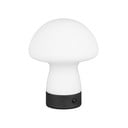 LED настолна лампа в матово бял цвят със стъклен абажур (височина 18 cm) Dooley – Reality