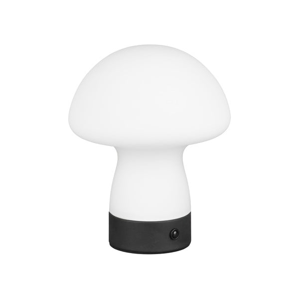 LED настолна лампа в матово бял цвят със стъклен абажур (височина 18 cm) Dooley – Trio