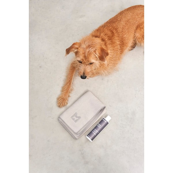 Кърпа за домашни любимци Panno Greige S/M – MiaCara-image-4