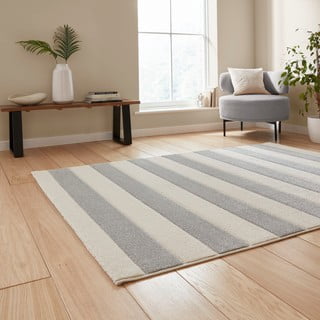 Светлосив килим 160x230 cm Cove Stripe – Catherine Lansfield