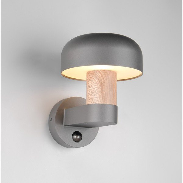 Стенно външно осветително тяло (височина 24,5 cm) Fraser – Trio-image-1