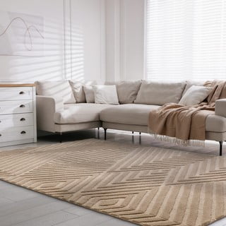 Светлокафяв вълнен килим 120x170 cm Hague - Asiatic Carpets