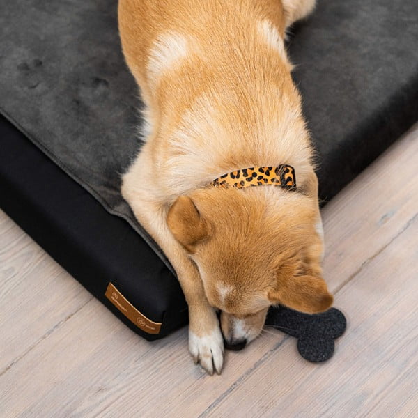 Тъмносив калъф за кучешки матрак 90x70 cm Ori XL - Rexproduct-image-4