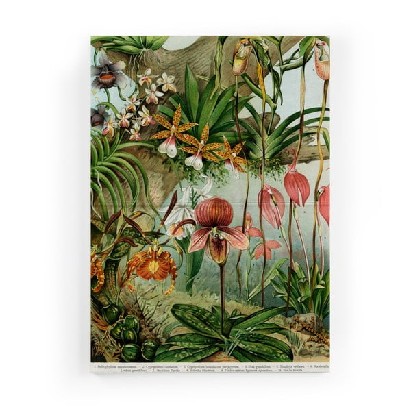 Живопис върху платно , 40 x 60 cm Jungle Flowers - Surdic