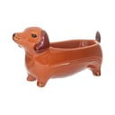 Порцеланова декоративна купа 5x14 cm Sausage Dog – Sass & Belle