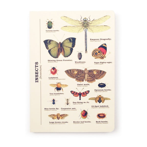 Zápisník Gift Republic Insects, vel. A5