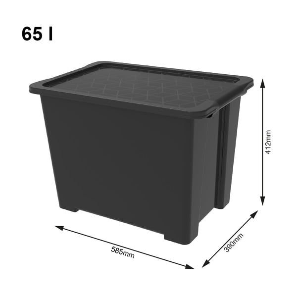 Пластмасова кутия за съхранение с капак Evo Easy - Rotho-image-2