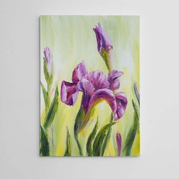 Obraz na plátně Fialový narcis, 50x70 cm