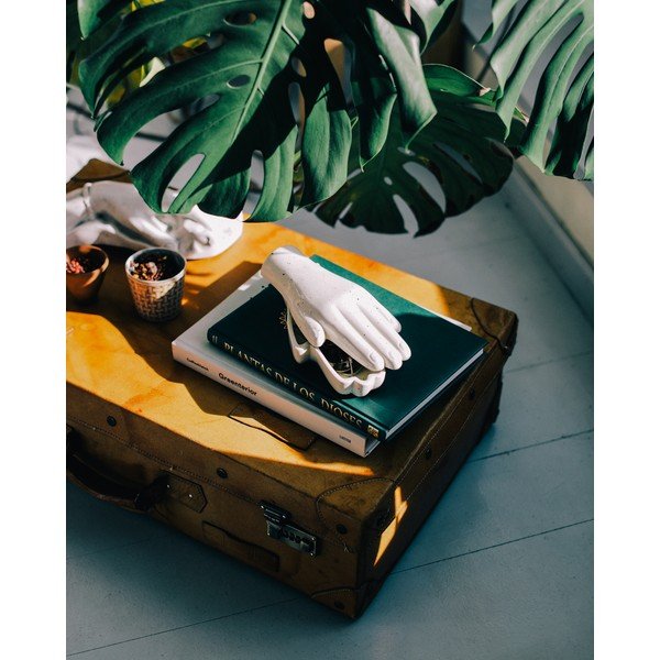 Керамична кутия за бижута Ръка, 23 x 11 cm - DOIY-image-1