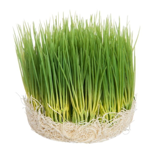 Dekorace Grass, 12x12x12 cm