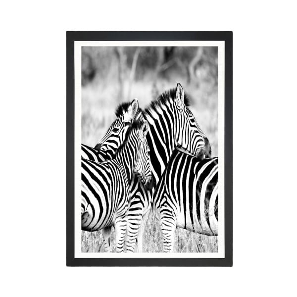 Живопис Зебри, 24 x 29 cm Brighton Zebras - Tablo Center