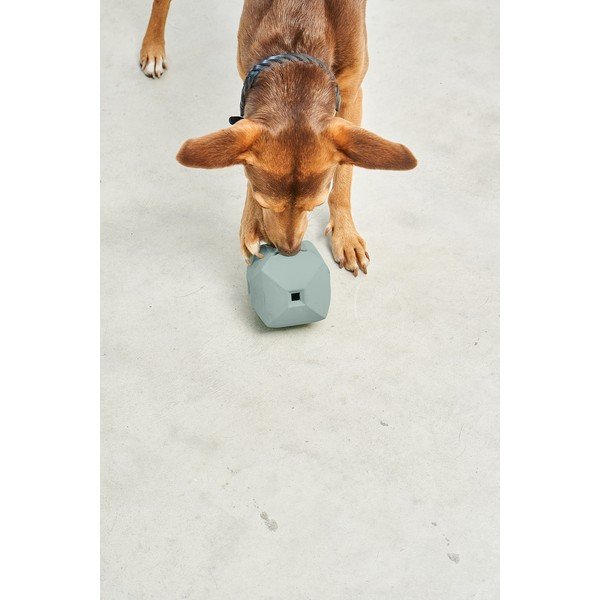 Играчка за куче Dado Eucalyptus – MiaCara-image-3