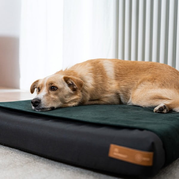 Черен ортопедичен кучешки матракта 60x50 cm Ori M - Rexproduct-image-2