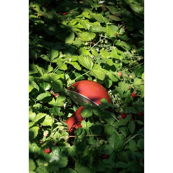 Червена LED затъмняваща се настолна лампа (височина 20 cm) Mush – Hübsch-image-4