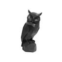 Черна полирезинова статуетка на бухал Owl - PT LIVING