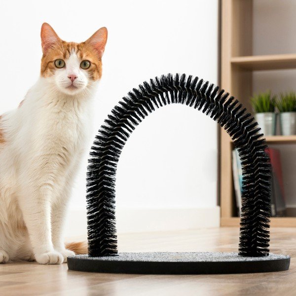 Поставка за драскане и четка за котки - InnovaGoods-image-4