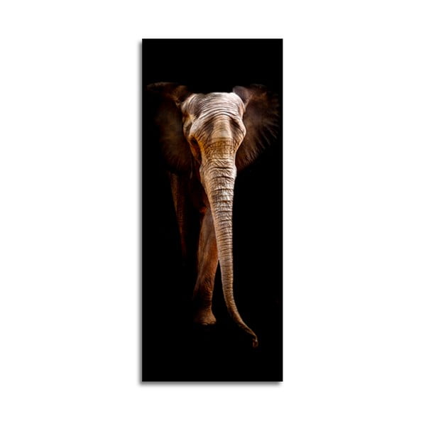 Изображение , 125 x 50 cm Elephant - Styler