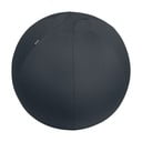 Ергономична топка за сядане с тежести ø 65 cm Ergo – Leitz
