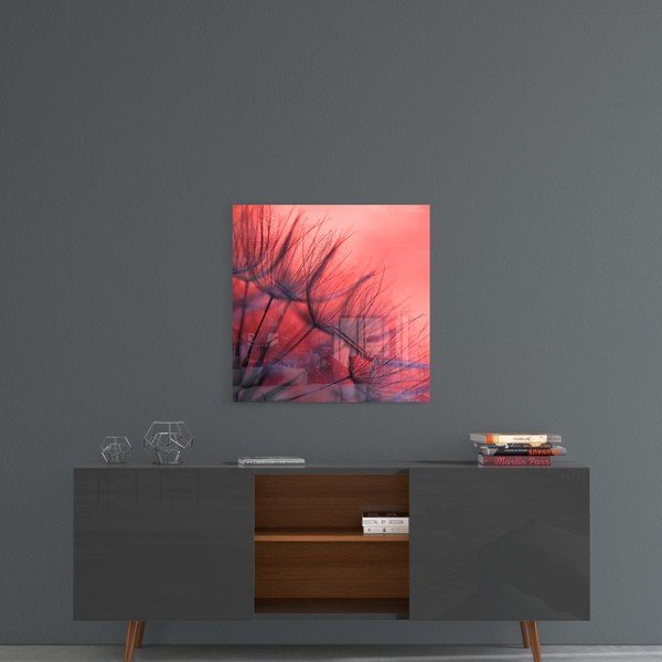 Картина върху стъкло , 40 x 40 cm Red Dandelion - Insigne-image-1