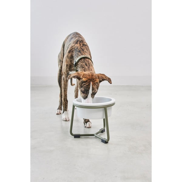 Порцеланова купа с основа за куче ø 20 cm Pranzo Grolive M – MiaCara-image-3