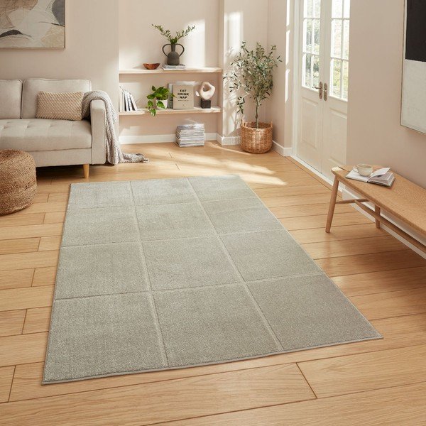Светлосив килим 120x170 cm Elio Silver – Think Rugs-image-1