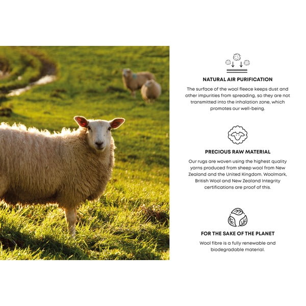 Сив вълнен килим 200x300 cm Meri - Agnella-image-4