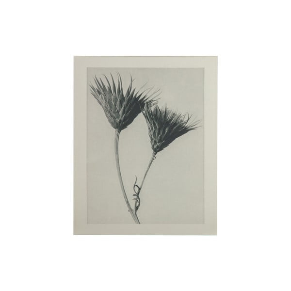 Бежово и сиво живопис Произведения на изкуството Цвете Artwork Plantstudie - BePureHome