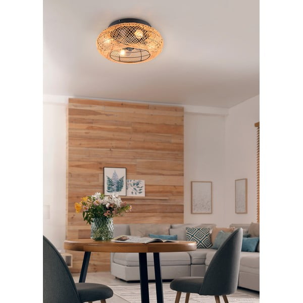 Кафяво осветително тяло за таван с дистанционно управление/с вентилатор Lillesand – Trio-image-2