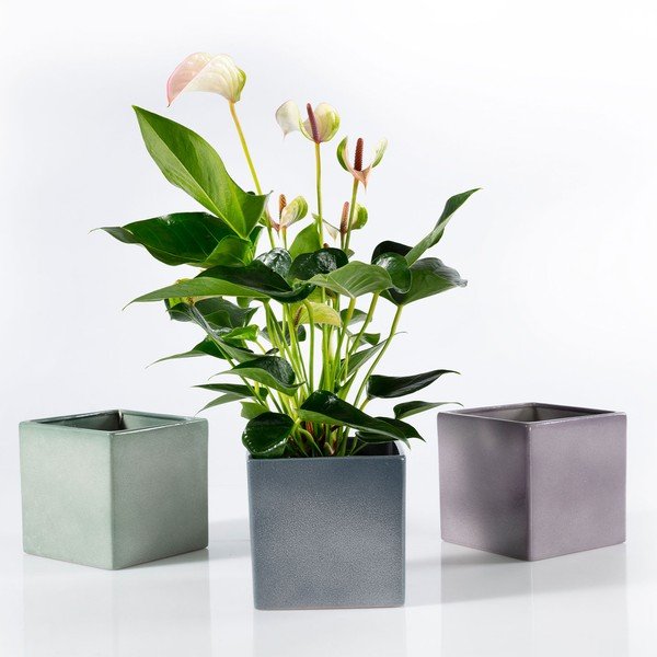 Зелена керамична саксия Latina, 15 x 15 cm - Big pots-image-2