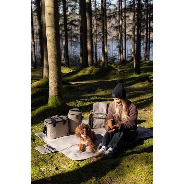 Бежова охлаждаща чанта 9 l City – Sagaform-image-3