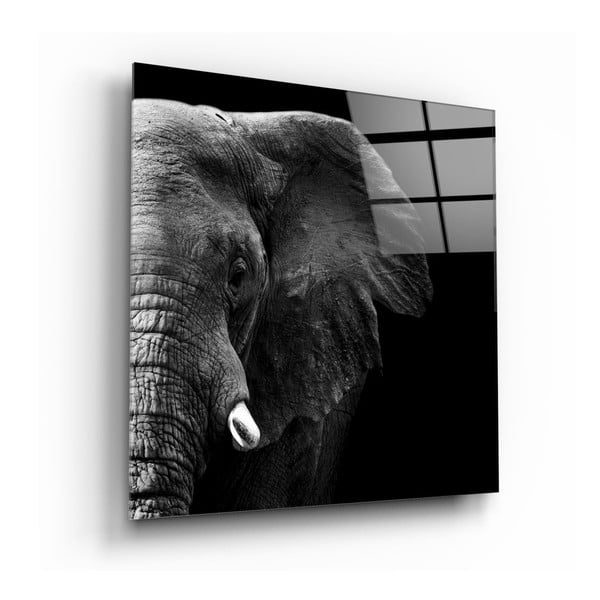 Живопис върху стъкло , 100 x 100 cm Elephant - Insigne