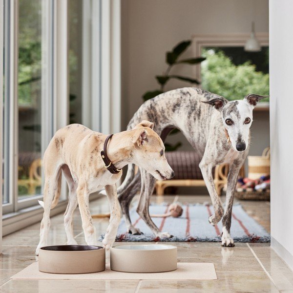 Керамична купа за куче ø 17 cm Sia – OYOY Living Design-image-1