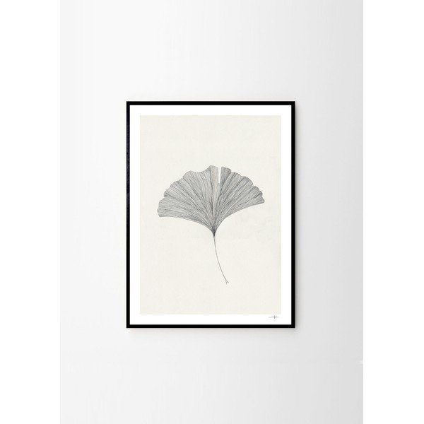 Постер 50x70 cm Ginkgo Leaf – Ana Frois – The Poster Club-image-3