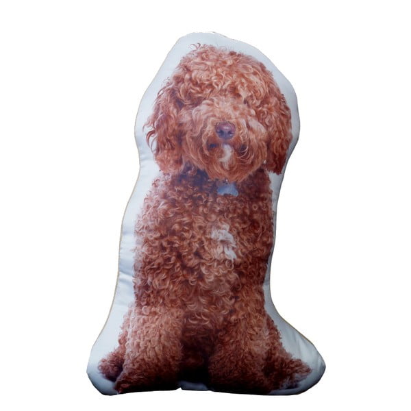 Polštářek s potiskem zrzavého Cockapoo Adorable Cushions
