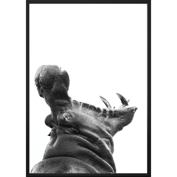 Плакат , 50 x 40 cm Hippopotamus - DecoKing
